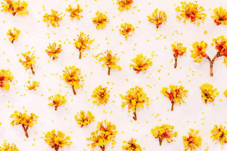 Floral pattern with yellow flowers cornel on white background. Flat lay, top view
