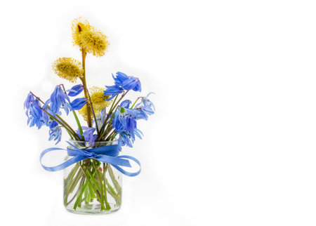 bouquet of bluebell and a sprig of flowering willow in a glass jar with a bow of blue ribbon on a...