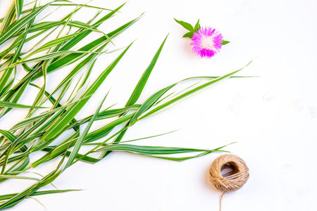 decorative grass flower cornflower and rope twine on white background with copy space, top view flat...