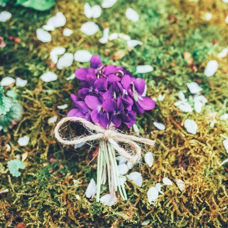 vintage bouquet of forest flowers of violets on the background of moss, top viewの写真素材