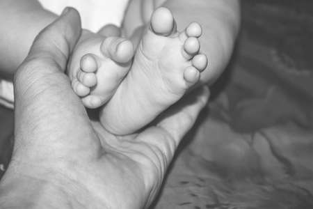 legs of four-month-old daughter of a baby in the male palm of his father black and white photoの写真素材