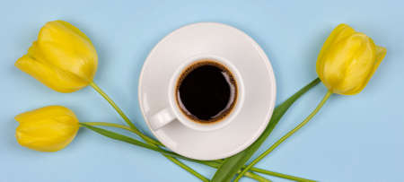 a Cup of black coffee on a saucer and a yellow Tulip flower on a blue background close-up top view flat layの写真素材
