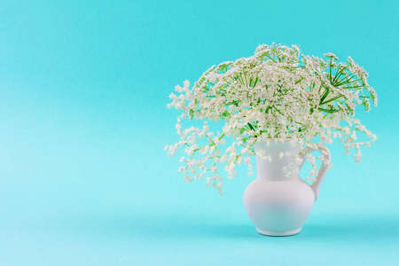 bouquet of small delicate white elderflower flowers in white jug on blue pastel background close-up with copy spaceの写真素材