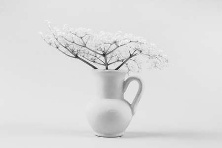bouquet of small delicate white elderberry flowers in a white jug black and white photoの写真素材