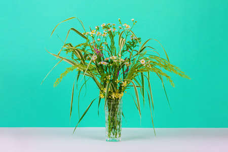 bouquet of summer herbs, daisies and clematis flowers in a glass vase on a background of mint color close-upの写真素材