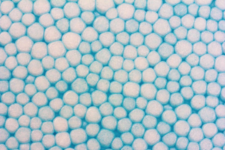 the macro texture of polystyrene foam close-up
