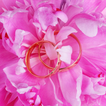 gold wedding rings in pink peony petals close up