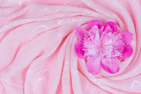 pink peony flower bud on pink fabric, top view with copy spaceの写真素材
