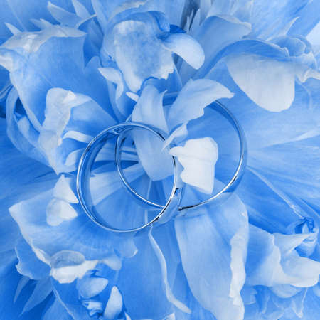 gold wedding rings in peony petals close up tinting classic blue colorの写真素材