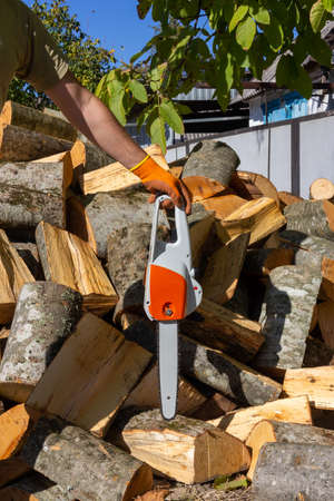 a man holds an electric saw in his hand against the background of sawn stumpsの写真素材