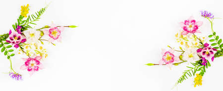 frame of a bouquets of pink flowers aquilegia, white Jasmine and green leaves on a white background with a copy spaceの写真素材