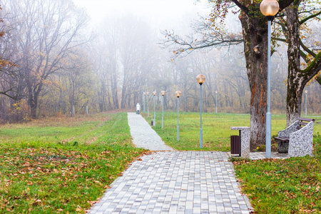 autumn landscape in the fog with a gray paving stone path, a bench, old trees and a girl with a baby...