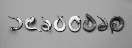 curved and twisted unusual hot chili peppers on a gray background top viewの写真素材