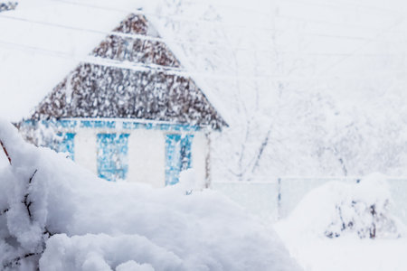 tree branches in a snowdrift on the background of a village house during a snowfall, selective focus, shallow depth of fieldの写真素材