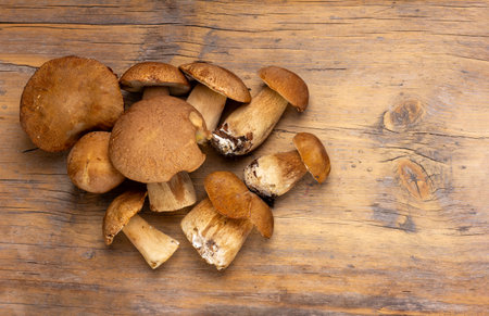 a bunch of boletus porcini mushrooms on a wooden table top view with copy spaceの写真素材