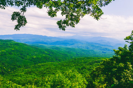 Beautiful view of the summer landscape in the mountains of Adygea through the green branches of treesの写真素材