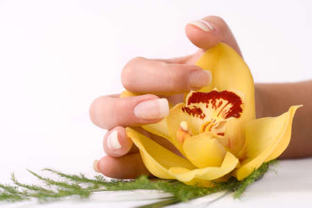 Nails with flower on whiteの写真素材