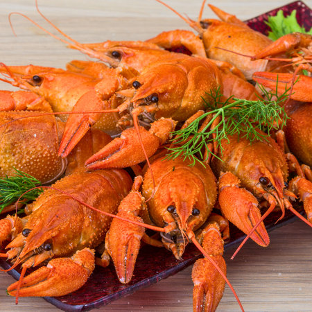 A close-up view of a vibrant platter filled with bright red cooked crawfish, garnished with fresh green dill, ready to be enjoyed.の写真素材
