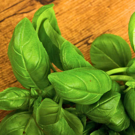 A close-up shot of vibrant green basil leaves, showcasing their texture and freshness, resting on a rustic wooden background.の写真素材