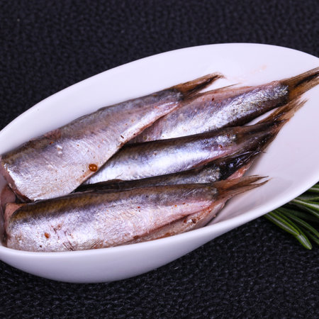 A close-up shot of several raw, whole sardines arranged in a white oval bowl with a sprig of rosemary on the side.の写真素材