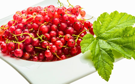 A close-up shot of vibrant red currants clustered on a white plate, accompanied by fresh green leaves, highlighting their natural beauty.の写真素材