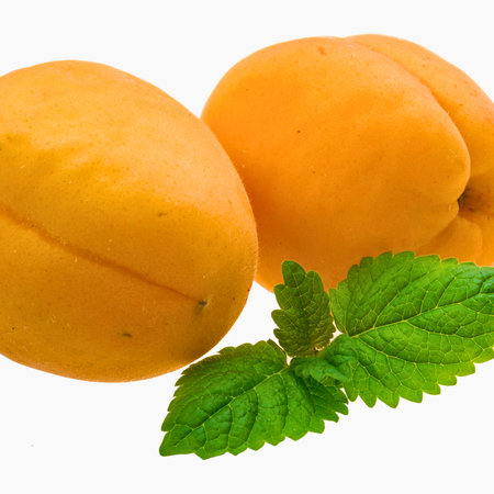 Two vibrant, golden apricots are artfully arranged with fresh, green mint leaves, presented against a clean white backdrop.の写真素材