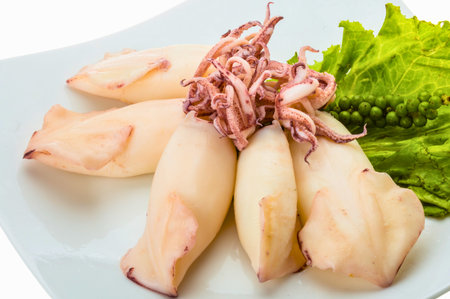 A close-up shot of several raw calamari bodies and tentacles arranged with vibrant green lettuce on a white plate.の写真素材