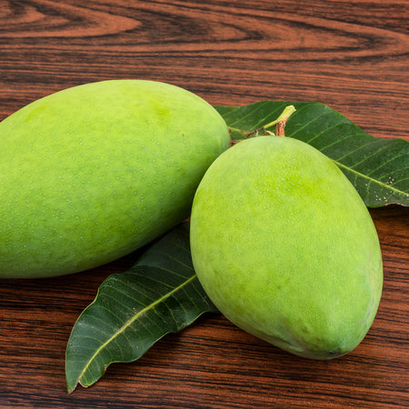 Two unripe green mangoes sit on a dark wooden surface, accompanied by a few green leaves, suggesting freshness and tropical origins.の写真素材