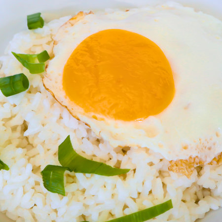 A perfectly fried egg with a bright orange yolk sits atop a bed of white rice, garnished with fresh green herbs.の写真素材