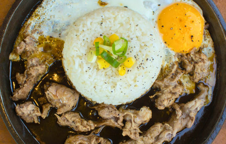 A close-up overhead view of a sizzling plate featuring tender beef strips, fluffy white rice, and a fried egg.の写真素材