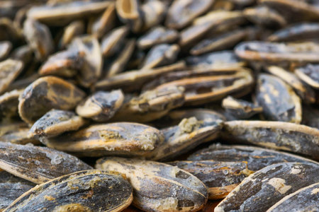 A vibrant close-up of roasted and salted sunflower seeds in their shells, showcasing their textured surface and delicious appeal as a healthy snack, rich in nutrients.の写真素材