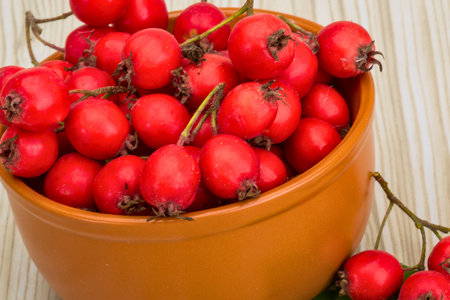 Vibrant red hawthorn berries fill a rustic ceramic bowl, presented on a light wood grain surface. Ideal for themes of health, nature, and traditional remedies.の写真素材