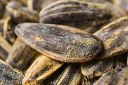 A detailed, high-angle shot showcasing the textured, striped shells of numerous roasted sunflower seeds piled together.の写真素材