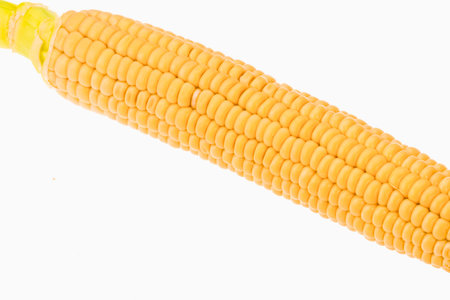 A single, ripe yellow corn cob with visible kernels is presented against a clean white backdrop.の写真素材