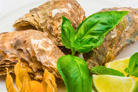 A close-up of three fresh oysters garnished with vibrant green basil leaves and bright lemon wedges...