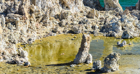 Towering tufa formations, sculpted by mineral deposits, emerge from the shallow, reflective waters of a saline lake under a bright sky.の写真素材