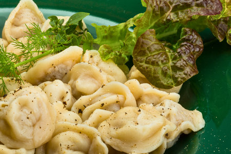 A close-up of tortellini pasta coated in a creamy sauce, garnished with fresh dill and vibrant lettuce leaves.の写真素材