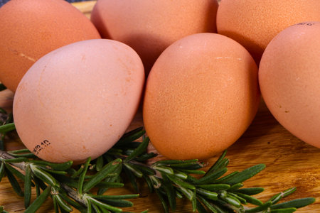 A close-up of several brown eggs nestled amongst vibrant green rosemary sprigs on a textured surface.の写真素材