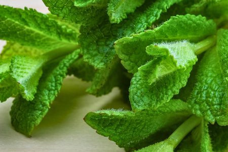 A detailed macro shot showcasing the vibrant green color and textured surface of fresh mint leaves.