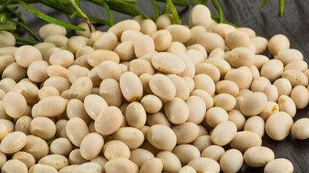 A close-up shot of a large pile of dried white beans, some with green stems, resting on a dark,...