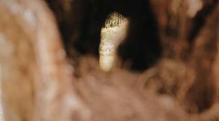 A close-up image of a glowing footprint in dark soil, surrounded by blurred earthy textures. The...