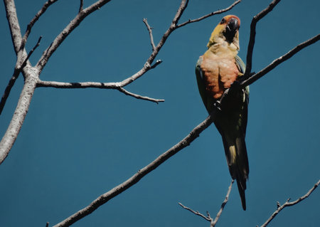 A vibrant parrot with a mix of green, yellow, and orange feathers is perched on a bare tree branch...