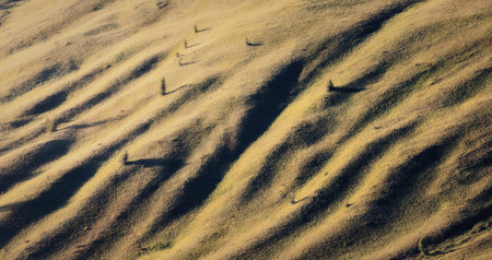 A serene landscape featuring golden fields bathed in the warm glow of a setting sun. The image...
