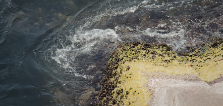 A dynamic scene of water cascading over rocks, surrounded by green vegetation and a sandy shore.