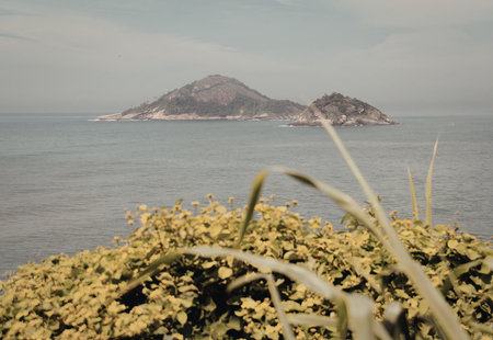 A tranquil coastal scene featuring a small island in the distance, surrounded by calm waters under a clear sky. The foreground is adorned with lush green foliage.の写真素材