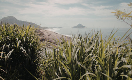 A tranquil coastal scene featuring lush green vegetation in the foreground, leading to a sandy beach and calm ocean under a partly cloudy sky.の写真素材