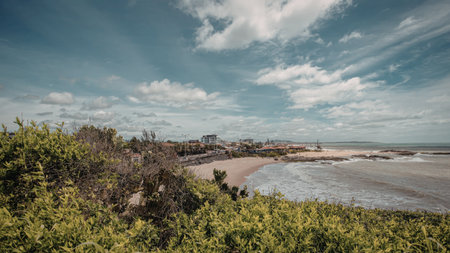 A tranquil coastal scene featuring lush green vegetation, a sandy beach, and gentle waves under a partly cloudy sky.の写真素材