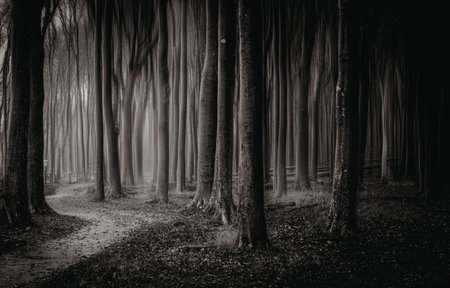 A tranquil forest scene captured during twilight, showcasing a narrow path lined with tall, slender...
