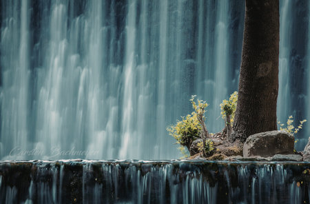 A close-up view of a waterfall cascading over rocks, with a tree trunk and green foliage in the...