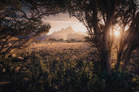 A tranquil landscape featuring a sunset with warm hues, surrounded by trees and vegetation, with...